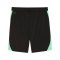 PUMA SFV Schweiz Training Short Schwarz F10 - schwarz
