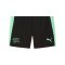 PUMA SFV Schweiz Training Short Schwarz F10 - schwarz