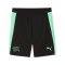 PUMA SFV Schweiz Training Short Schwarz F10 - schwarz
