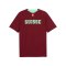 PUMA SFV Schweiz Trainingsshirt Rot F09 - rot