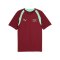 PUMA SFV Schweiz Trainingsshirt Rot F09 - rot