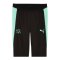 PUMA SFV Schweiz Trainingshose Schwarz F10 - schwarz