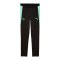 PUMA SFV Schweiz Trainingshose Schwarz F10 - schwarz