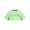 PUMA SFV Schweiz Trikot Away WM 2026 Grün F02 - gruen