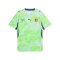 PUMA SFV Schweiz Trikot Away WM 2026 Grün F02 - gruen
