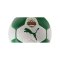 PUMA SK Rapid Wien Ess Trainingsball Weiß F01 - weiss