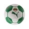 PUMA SK Rapid Wien Ess Trainingsball Weiß F01 - weiss