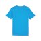 PUMA SKU Amstetten Trainingshirt Blau F02 - blau