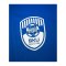 PUMA SKU Amstetten Trainingsshirt Blau F02 - blau