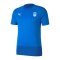 PUMA SKU Amstetten Trainingsshirt Blau F02 - blau