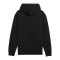 PUMA Squad Hoody Schwarz F01 - schwarz