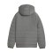 PUMA teamADDITIONS Jacke Kids Grau F13 - grau