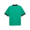 PUMA teamCLASSIC Match Trikot Grün F05 - gruen