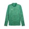 PUMA TeamCUP 1/4 Zip Top Sweatshirt Grün F05 - gruen