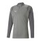 PUMA teamCUP HalfZip Sweatshirt Grau F13 - grau