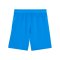PUMA teamCup Short Blau F02 - blau