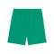 PUMA teamCup Short Grün F05 - gruen