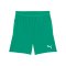 PUMA teamCup Short Grün F05 - gruen