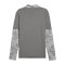 PUMA teamCUP Training 1/4 Zip Sweatshirt Grau F13 - grau