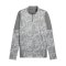 PUMA teamCUP Training 1/4 Zip Sweatshirt Grau F13 - grau