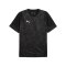 PUMA teamCUP Trainingsshirt Schwarz F03 - schwarz