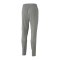 PUMA teamCUP Trainingshose Grau F13 - grau