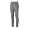 PUMA teamCUP Trainingshose Grau F13 - grau