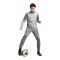 PUMA teamCUP Trainingshose Grau F13 - grau