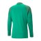 PUMA teamCUP Trainingsjacke Grün F05 - gruen