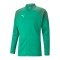 PUMA teamCUP Trainingsjacke Grün F05 - gruen