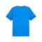 PUMA teamCUP Trikot Blau F002 - blau