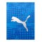 PUMA teamCUP Trikot Blau F002 - blau