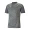 PUMA teamCUP Trainingsshirt Grau F13 - grau