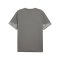 PUMA Trikot Grau F13 - grau