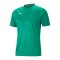 PUMA teamCUP Trainingsshirt Grün F05 - gruen