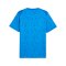 PUMA Trikot Blau F02 - blau