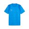 PUMA Trikot Blau F02 - blau
