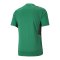 PUMA teamCUP Trikot Grün F05 - gruen