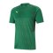 PUMA teamCUP Trikot Grün F05 - gruen