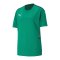 PUMA teamCUP Trikot Grün F05 - gruen