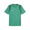 PUMA TeamCUP Trikot Grün F05 - gruen