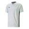 PUMA teamCUP Trikot Weiss F04 - weiss