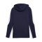 PUMA TeamEvostripe Hoody Blau F06 - blau