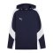 PUMA TeamEvostripe Hoody Blau F06 - blau