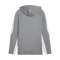 PUMA teamEVOSTRIPE Hoody Grau F33 - grau