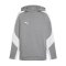 PUMA teamEVOSTRIPE Hoody Grau F33 - grau