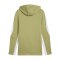 PUMA teamEvostripe Hoody Grün F40 - gruen