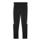 PUMA teamEVOSTRIPE Trainingsose Schwarz F03 - schwarz