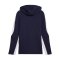 PUMA teamEVOSTRIPE Kapuzenjacke Blau F06 - blau