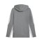 PUMA teamEVOSTRIPE Kapuzenjacke Grau F33 - grau
